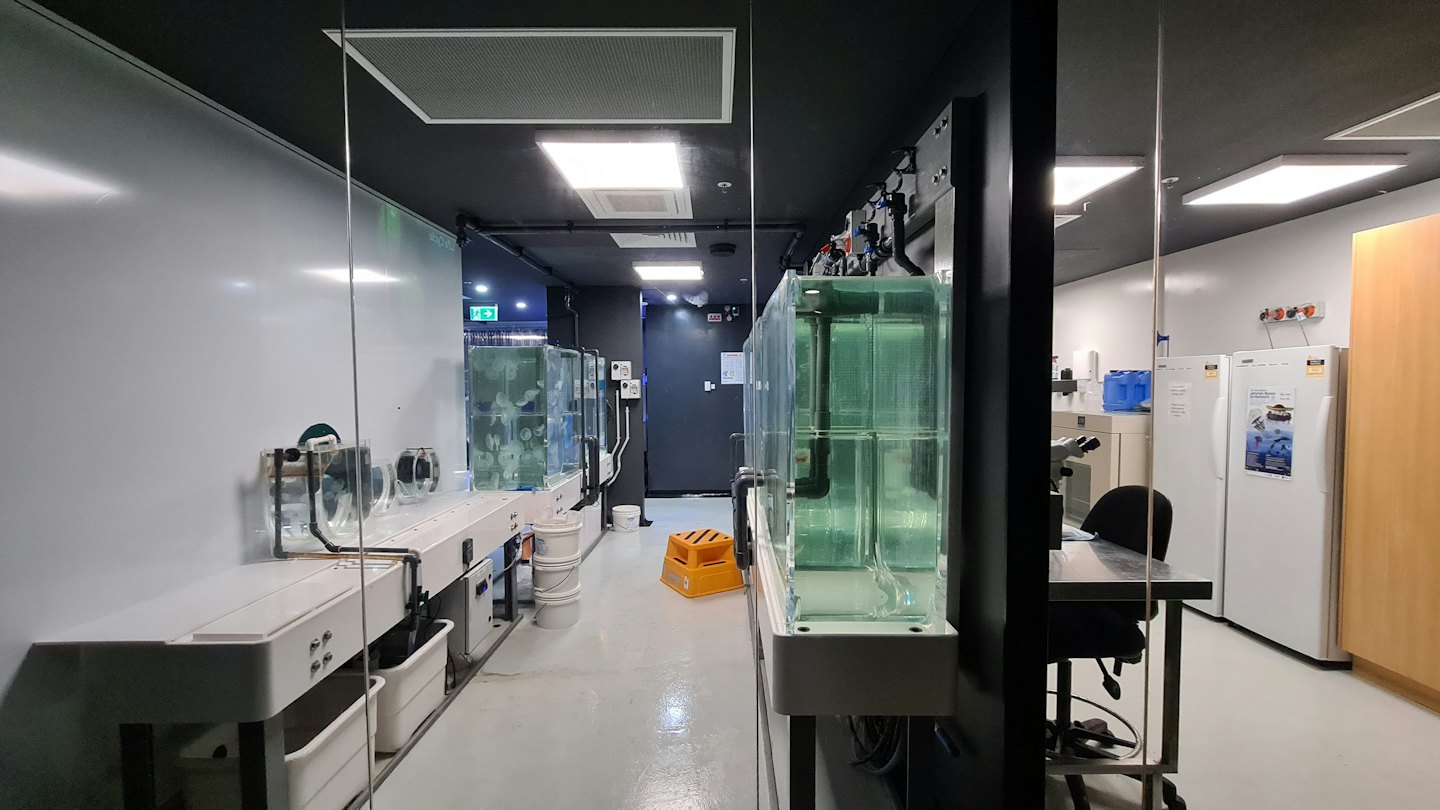 Laboratorio scientifico con file di grandi vasche di vetro piene d'acqua.