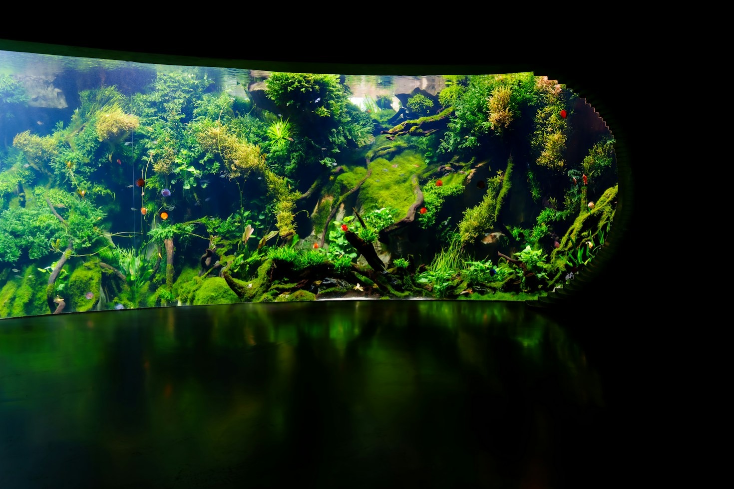 Guida pratica alla chimica dell’acqua per neofiti ed esperti