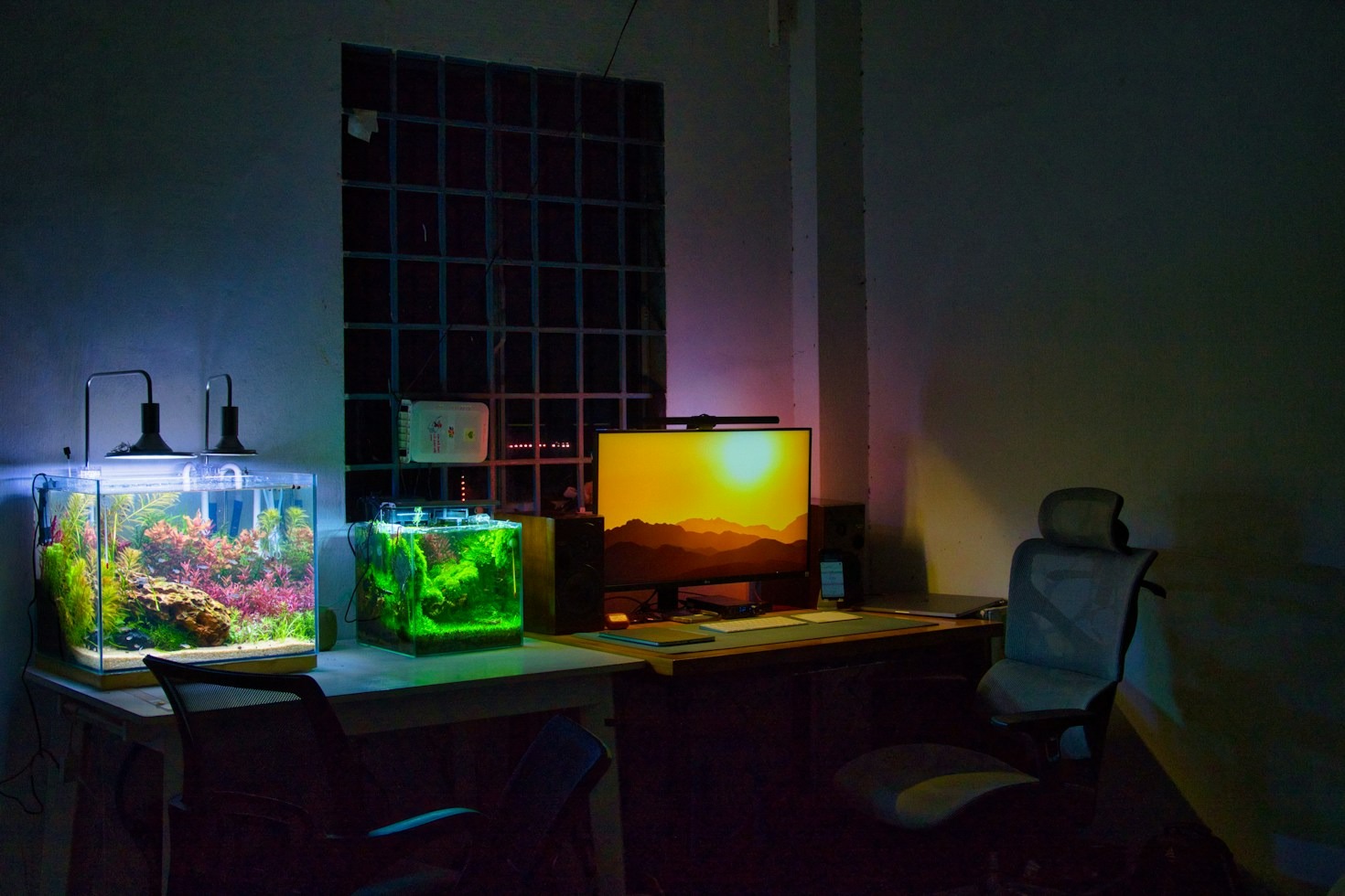 Illuminazione a LED per acquari piantumati: la mia esperienza